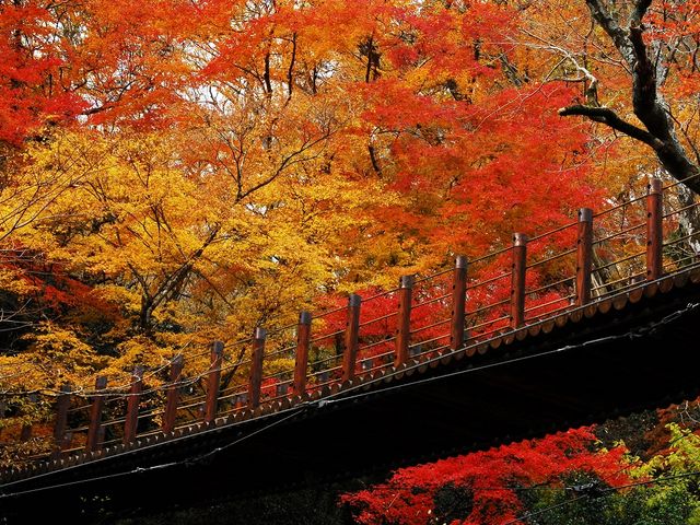 �Ԋтӂ邳�Ǝ��R�����Z���^�[