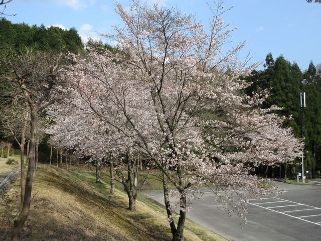 �Ԋтӂ邳�Ǝ��R�����Z���^�[