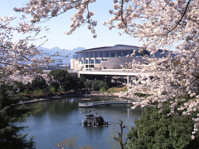 �O���[���h�[���O��_���{�g�[�^�[�O���[���h�[���O��