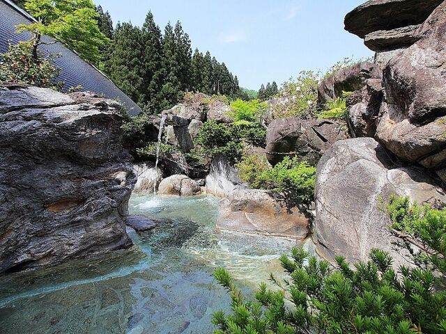 ���R�����̓��@�V�̂̎ʐ^1