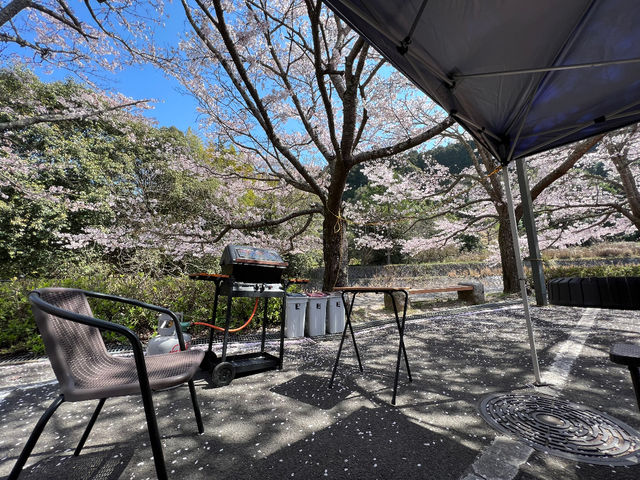 �y�t�F�����炬BBQ�z
�����؂̉��Ŋy���߂�o�[�x�L���[�B_�ݐ삹���炬�𗬊�