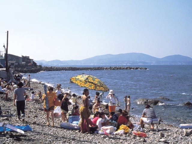 �����C������