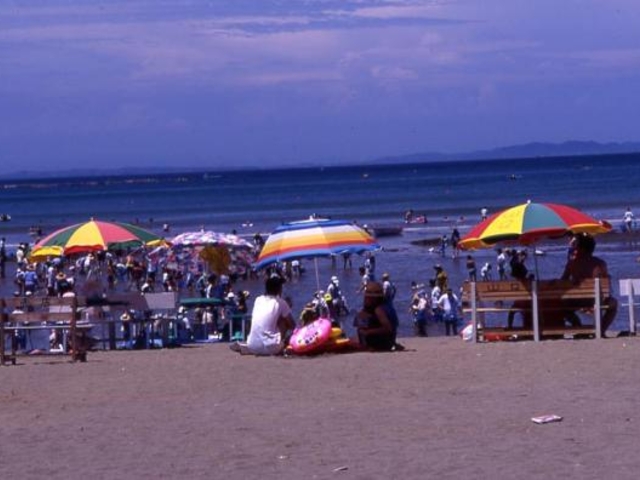 �����C������