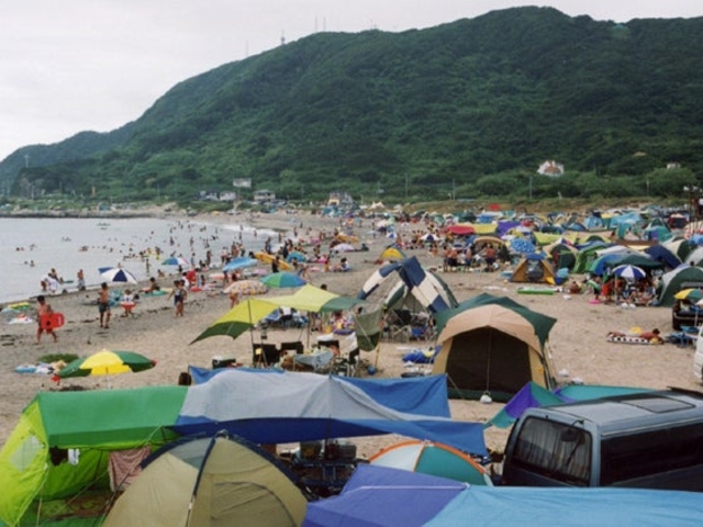 ���{�C������