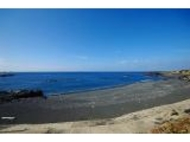 �K�P�l�C������