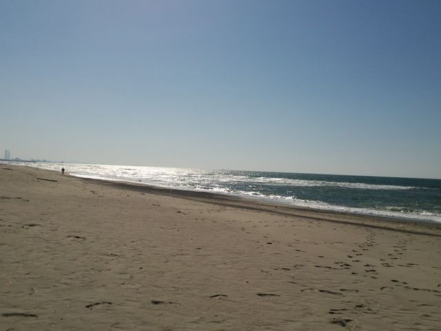 �����l�C������