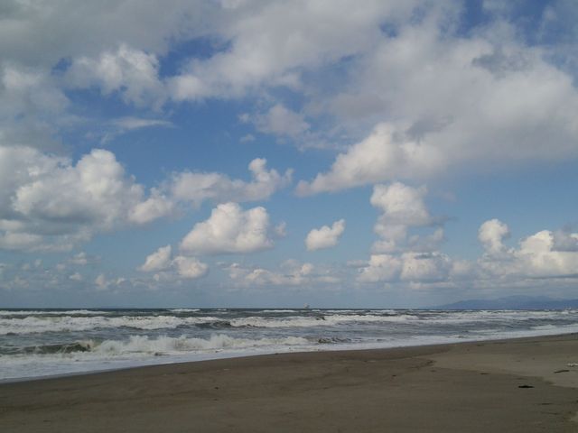 �����l�C������