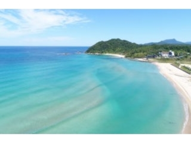 �����l�E���l�C������