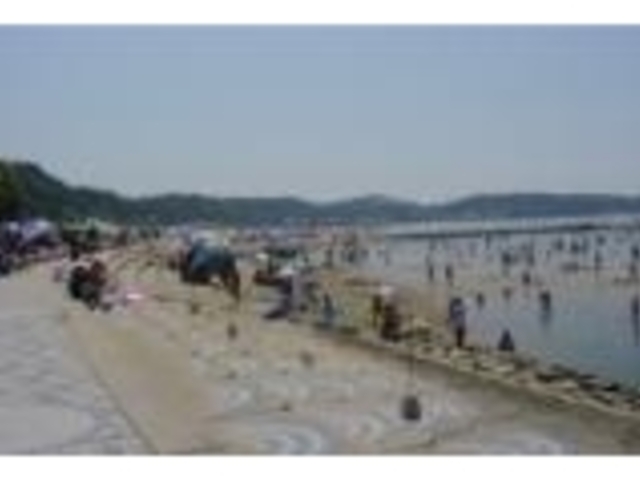 ����̕l�C������