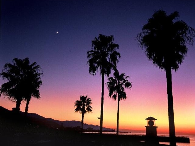 �ܐF�P�C�l����