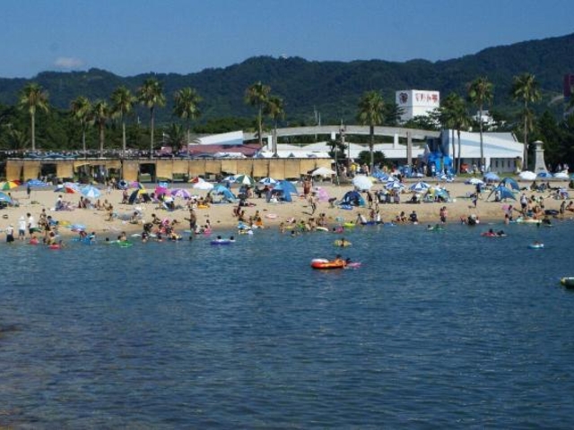 �ܐF�P�C�l����