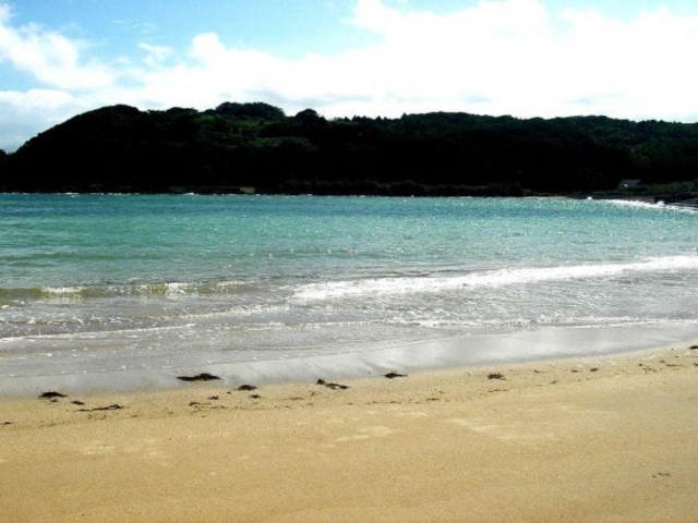 ��Z�C������