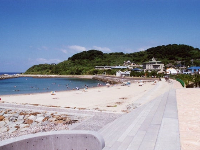 シーグラス　貝　熊本県天草　天然海水浴場 シーグラス 貝 熊本県天草 天然海水浴場 楽天市場】シーグラス 天然
