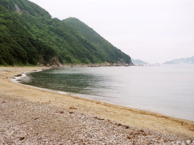 ��l�C������̎ʐ^1