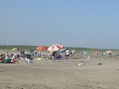 �����E��V���C������̎ʐ^1