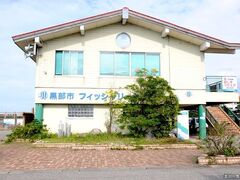 �Γc�t�B�b�V�����[�i�̎ʐ^1