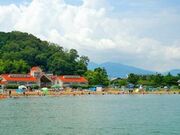 �f�R�C������̎ʐ^1