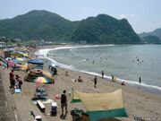 ��l�C������̎ʐ^1