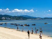 �O�͑哇�C������̎ʐ^2