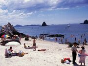 �����C������̎ʐ^1