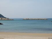 ���l�C������̎ʐ^1