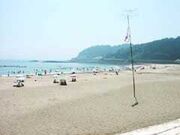 �x�y�C������̎ʐ^1