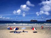 �l�c�C������̎ʐ^1