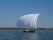 �ό��������D�i�ʑ��n��j�̎ʐ^1