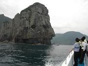 �ό��D���̂��̎ʐ^2