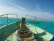 百合ケ浜沖遊覧船の写真2