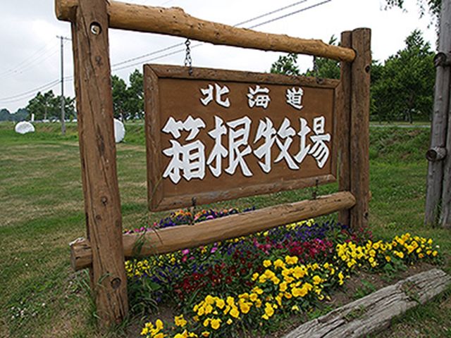 �k�C�������q��