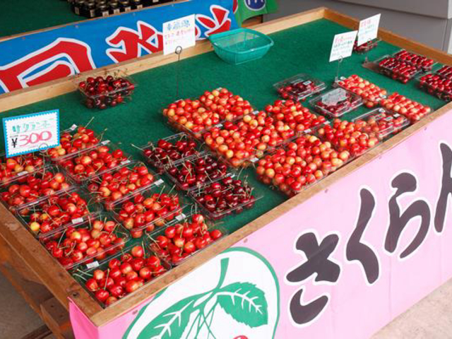 �v�����I�ʂ������y�Y�����т܂���_���̂ӂ��ƍg�ʉ�