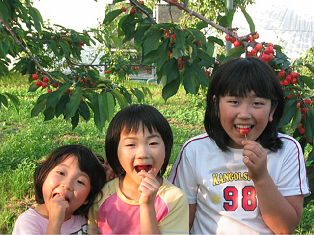 ���q�l���劽�}�􂺂Ђ��Ƒ��ł��z�����������I_���̂ӂ��ƍg�ʉ�