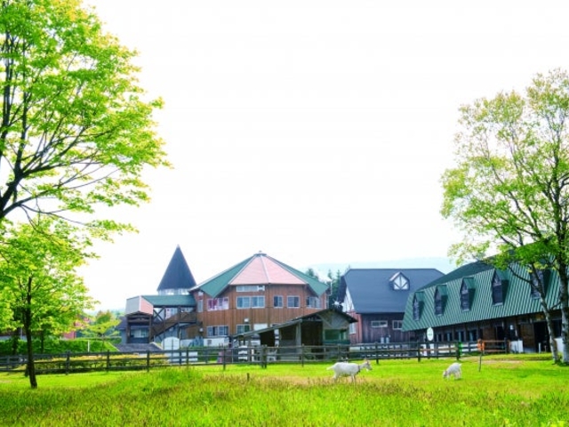 �Ԗ؃m���O���[���t�@�[���ӂꂠ���q��̎ʐ^1