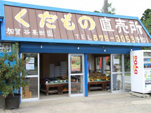 ����J�ʎ����̎ʐ^1