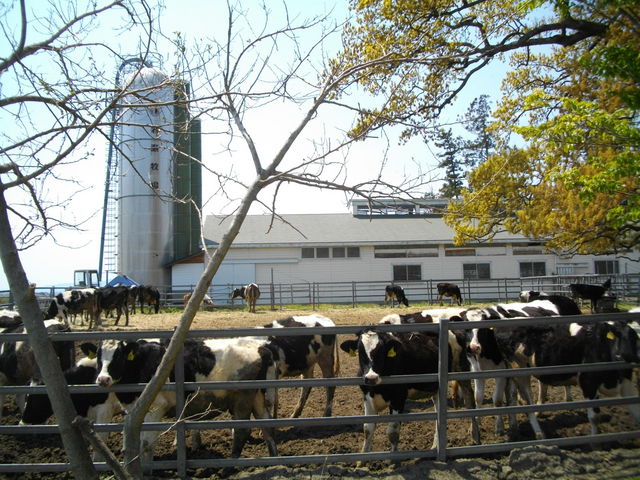 ���̂��镗�i
�����͑��ɁA�������A�q�c�W�A�€��_�␣�q��