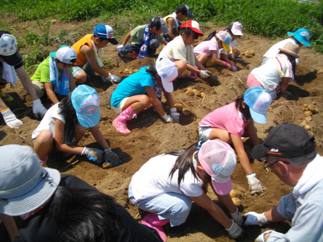 �W���K�C���x�A���n
�G�߂ɂ��A�u���[�x���[�A�g�E�����R�V�A
�T�g�C���Ȃǂ̑̌���_�␣�q��