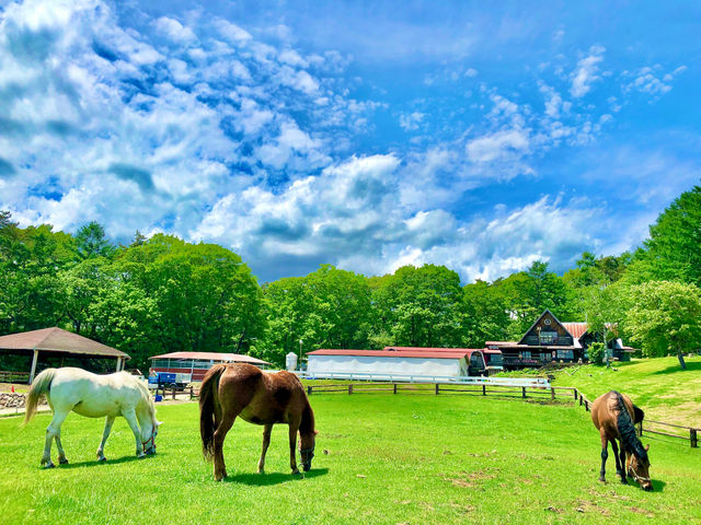 ���z�[�X�u���b�W