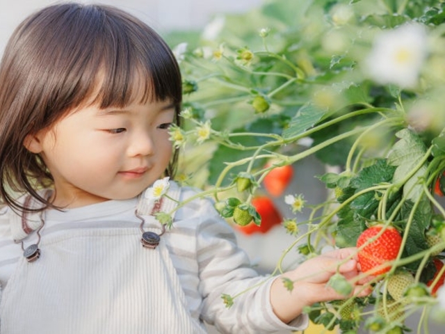 ��q�ˊό��_��