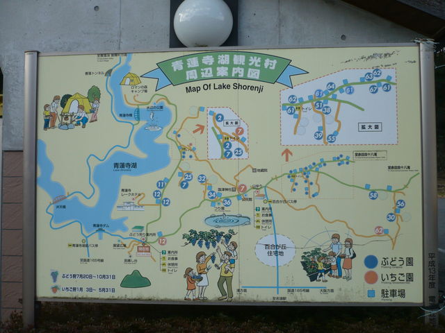 ぶどう狩り_青蓮寺湖ぶどう狩り