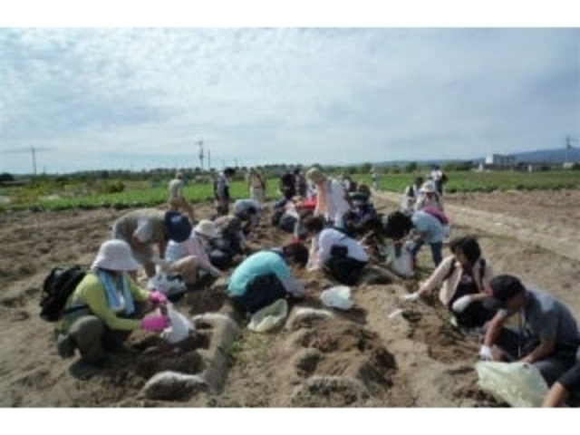 ���炷�ό������@��_��