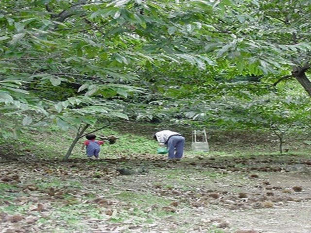 ���z�I���̎ʐ^1