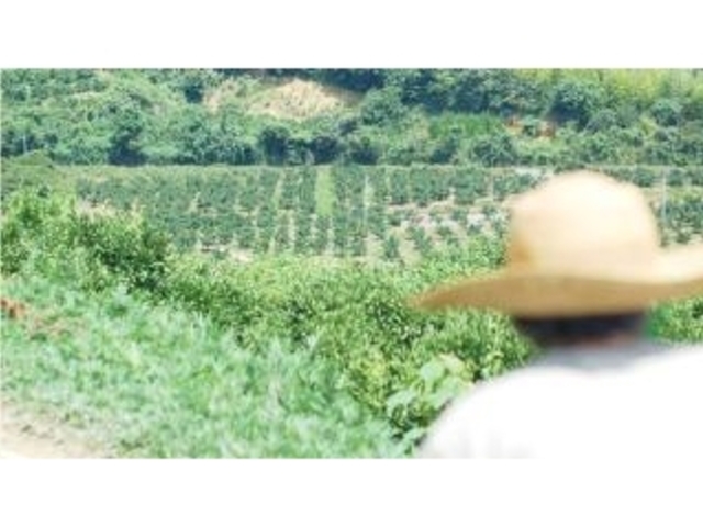 �����_���i�݂�����E���������j