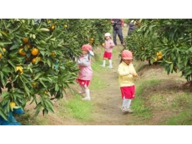 �����_���i�݂�����E���������j