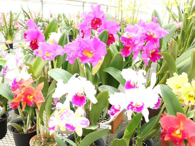 ��a�m���Z���^�[