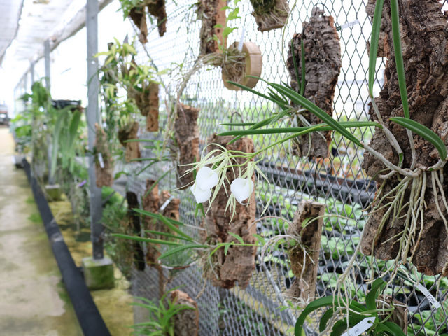 ��a�m���Z���^�[