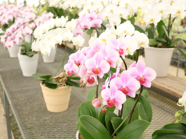 ��a�m���Z���^�[