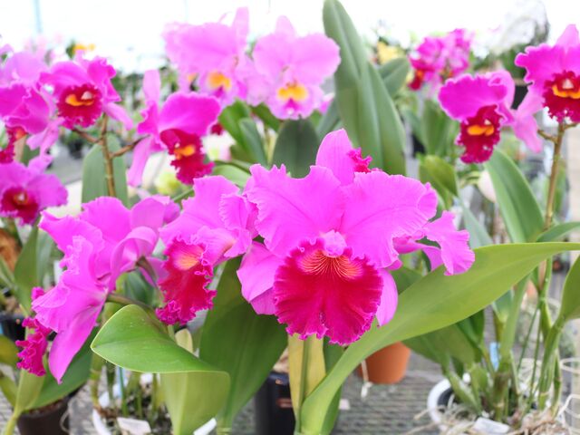 ��a�m���Z���^�[