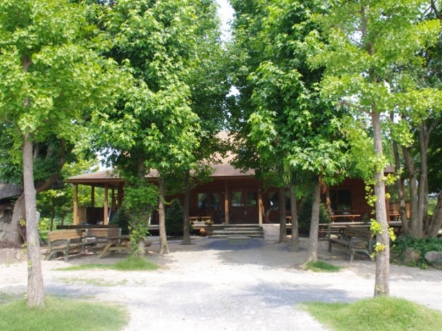 �e�[�W���X�E�����`