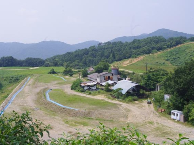 �e�[�W���X�E�����`